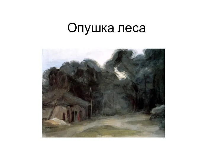 Опушка леса Золотая осень