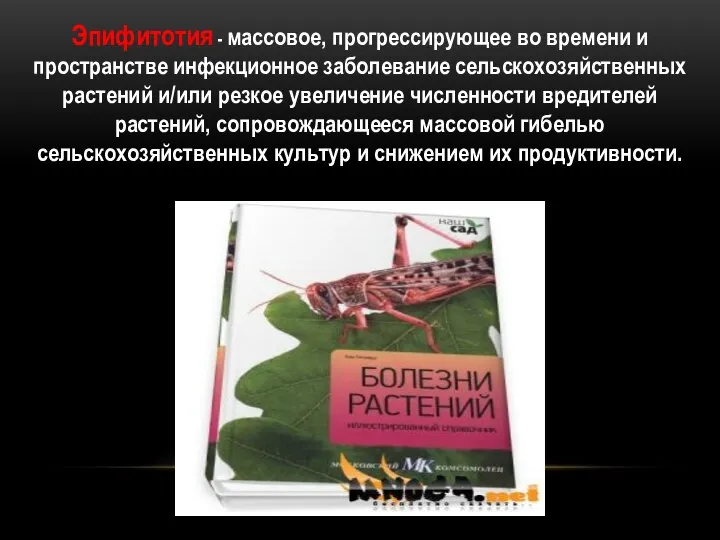 Эпифитотия - массовое, прогрессирующее во времени и пространстве инфекционное заболевание сельскохозяйственных