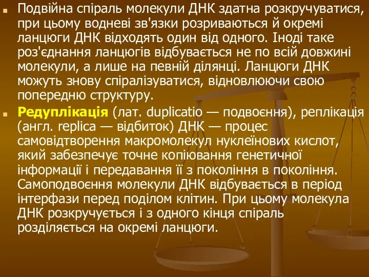 Подвійна спіраль молекули ДНК здатна розкручуватися, при цьому водневі зв'язки розриваються