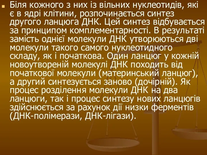 Біля кожного з них із вільних нуклеотидів, які є в ядрі