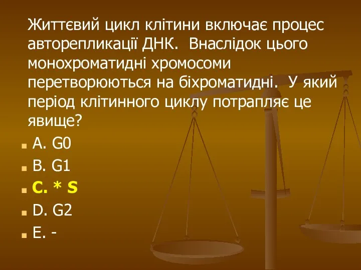 Життєвий цикл клітини включає процес авторепликації ДНК. Внаслідок цього монохроматидні хромосоми