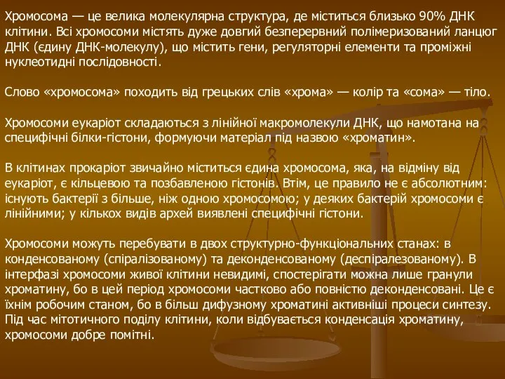 Хромосома — це велика молекулярна структура, де міститься близько 90% ДНК