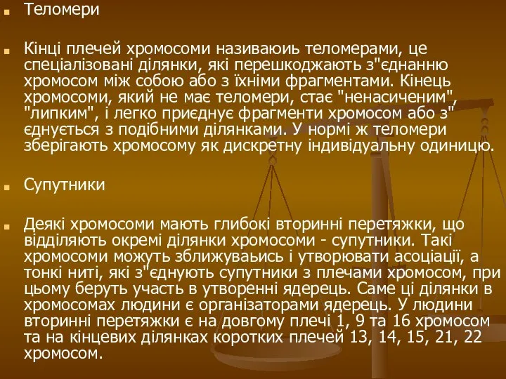 Теломери Кінці плечей хромосоми називаюиь теломерами, це спеціалізовані ділянки, які перешкоджають