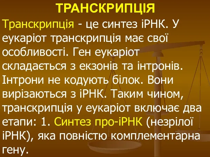 ТРАНСКРИПЦІЯ Транскрипція - це синтез іРНК. У еукаріот транскрипція має свої