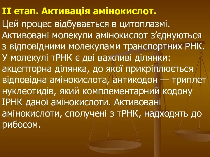 II етап. Активація амінокислот. Цей процес відбувається в цитоплазмі. Активовані молекули