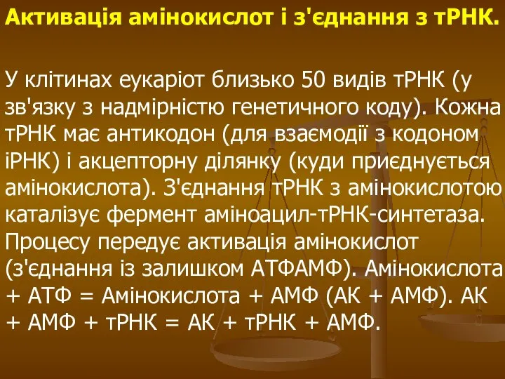 Активація амінокислот і з'єднання з тРНК. У клітинах еукаріот близько 50