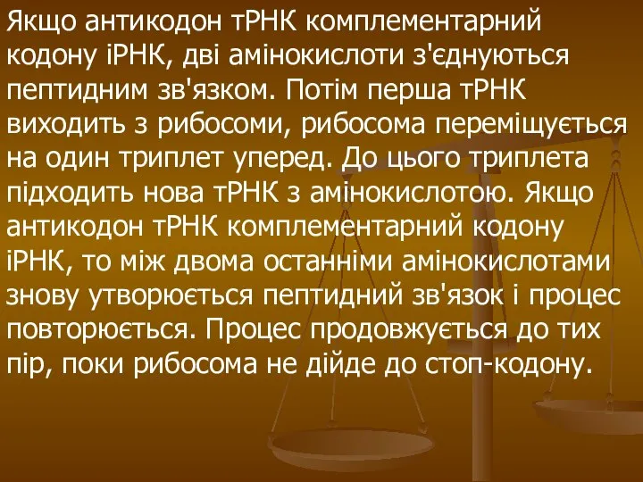 Якщо антикодон тРНК комплементарний кодону іРНК, дві амінокислоти з'єднуються пептидним зв'язком.