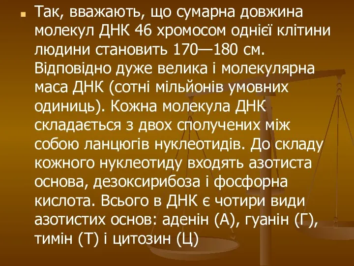 Так, вважають, що сумарна довжина молекул ДНК 46 хромосом однієї клітини