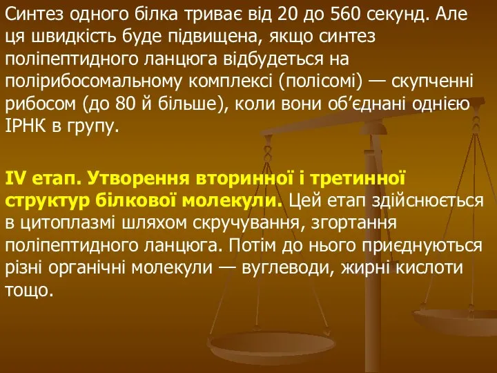 Синтез одного білка триває від 20 до 560 секунд. Але ця