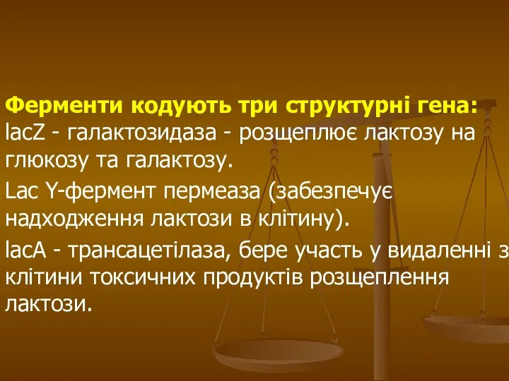 Ферменти кодують три структурні гена: lacZ - галактозидаза - розщеплює лактозу