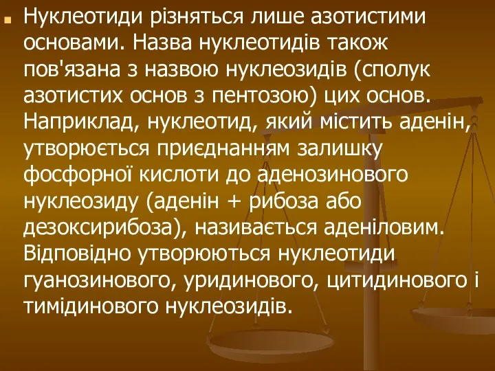 Нуклеотиди різняться лише азотистими основами. Назва нуклеотидів також пов'язана з назвою