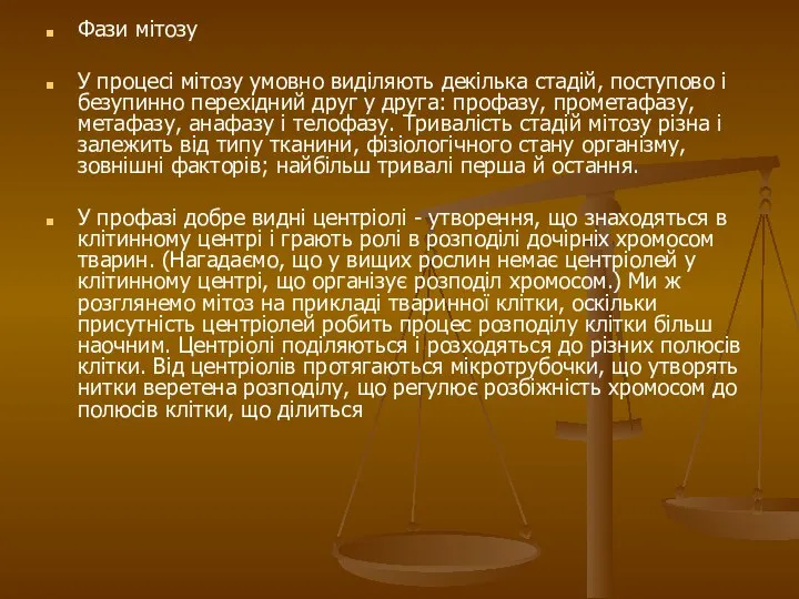 Фази мітозу У процесі мітозу умовно виділяють декілька стадій, поступово і