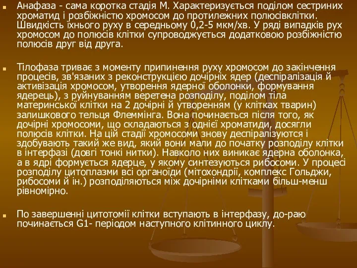 Анафаза - сама коротка стадія М. Характеризується поділом сестриних хроматид і