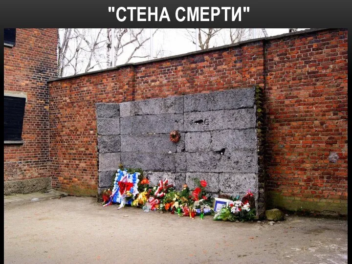 "СТЕНА СМЕРТИ"