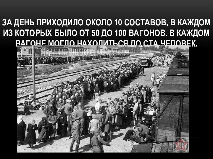 ЗА ДЕНЬ ПРИХОДИЛО ОКОЛО 10 СОСТАВОВ, В КАЖДОМ ИЗ КОТОРЫХ БЫЛО