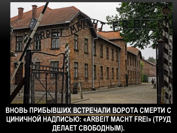 ВНОВЬ ПРИБЫВШИХ ВСТРЕЧАЛИ ВОРОТА СМЕРТИ С ЦИНИЧНОЙ НАДПИСЬЮ: «ARBEIT MACHT FREI» (ТРУД ДЕЛАЕТ СВОБОДНЫМ).