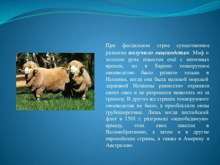 При феодальном строе существенное развитие получило овцеводство. Миф о золотом руне