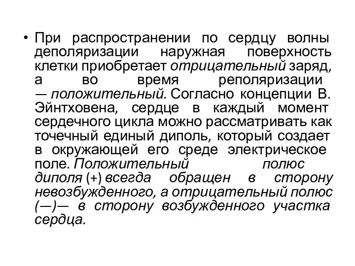 При распространении по сердцу волны деполяризации наружная поверхность клетки приобретает отрицательный