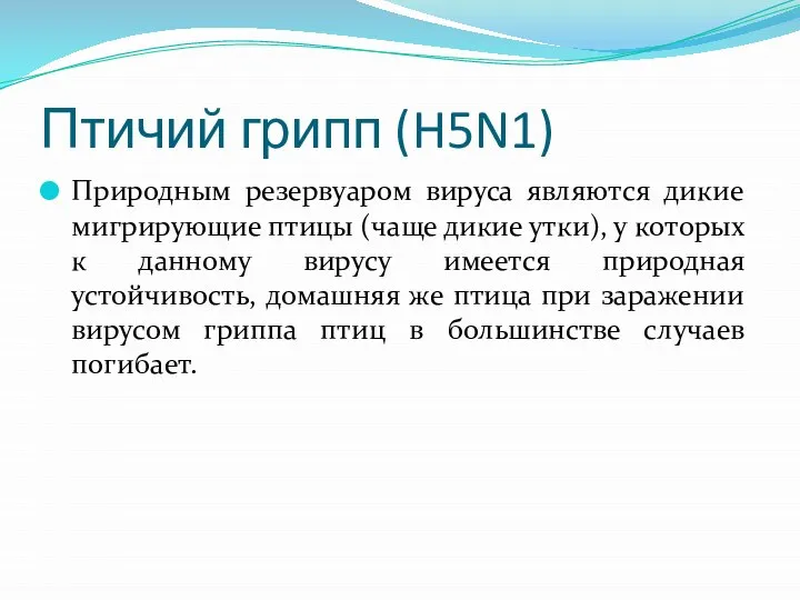 Птичий грипп (H5N1) Природным резервуаром вируса являются дикие мигрирующие птицы (чаще