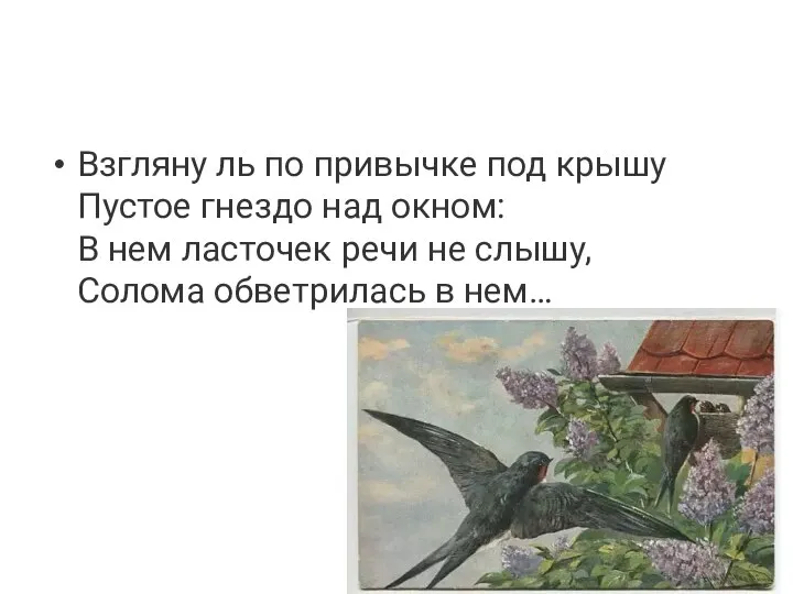 Взгляну ль по привычке под крышу Пустое гнездо над окном: В