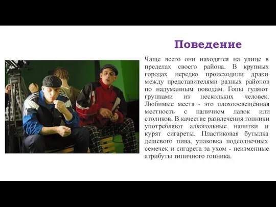 Поведение Чаще всего они находятся на улице в пределах своего района.