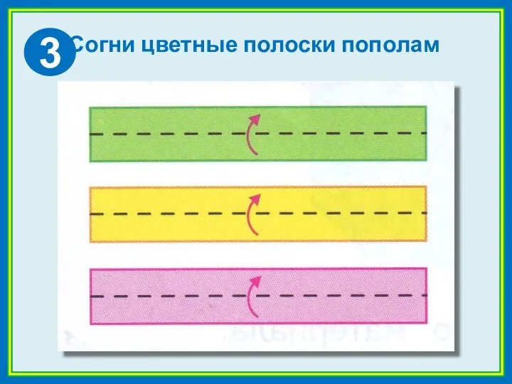 Согни цветные полоски пополам 3