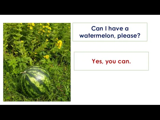 Can I have a watermelon, please? Yes, you can.