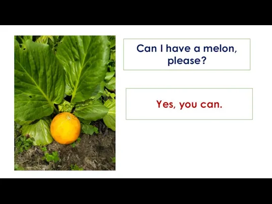 Can I have a melon, please? Yes, you can.