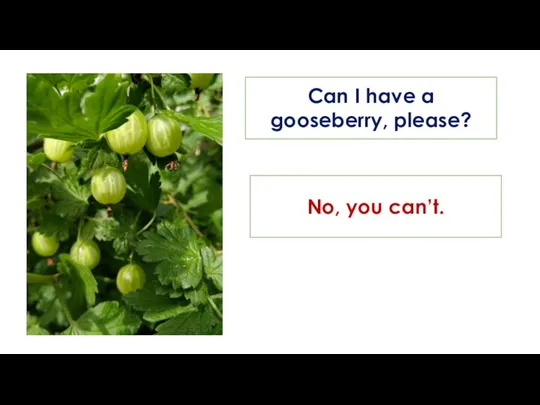 Can I have a gooseberry, please? No, you can’t.