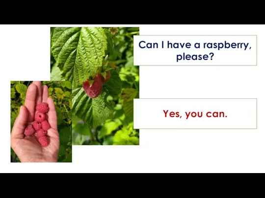 Can I have a raspberry, please? Yes, you can.