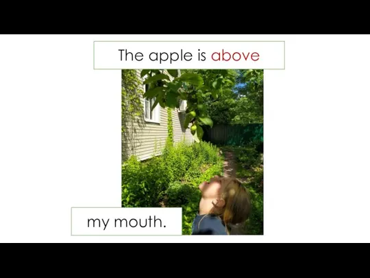 The apple is above my mouth.