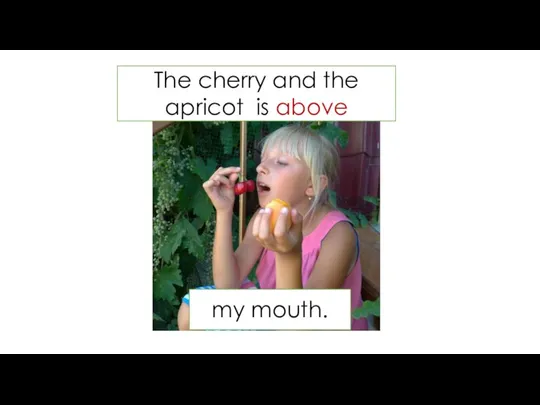 The cherry and the apricot is above my mouth.