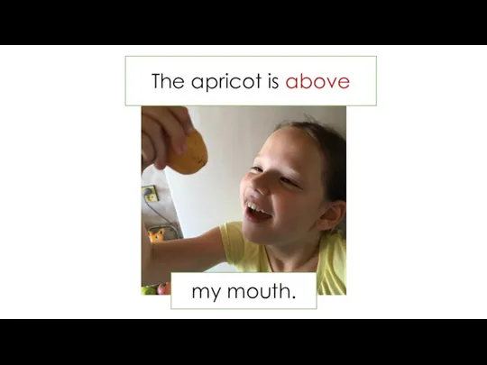 The apricot is above my mouth.