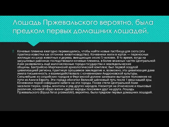 Лошадь Пржевальского вероятно, была предком первых домашних лошадей. Кочевые племена ежегодно