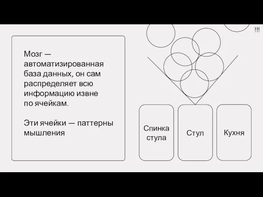 Мозг — автоматизированная база данных, он сам распределяет всю информацию извне