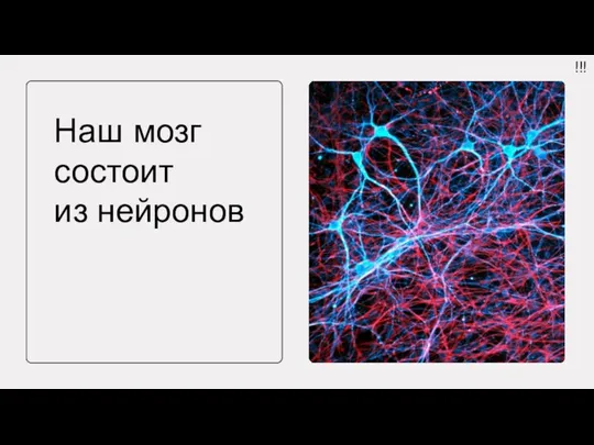 Наш мозг состоит из нейронов !!!