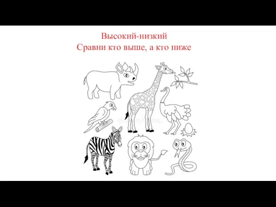 Высокий-низкий Сравни кто выше, а кто ниже