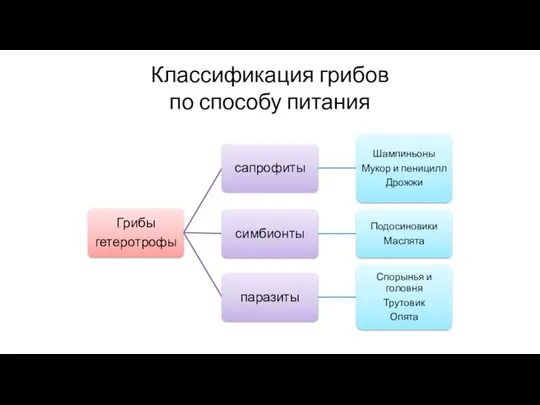 Классификация грибов по способу питания