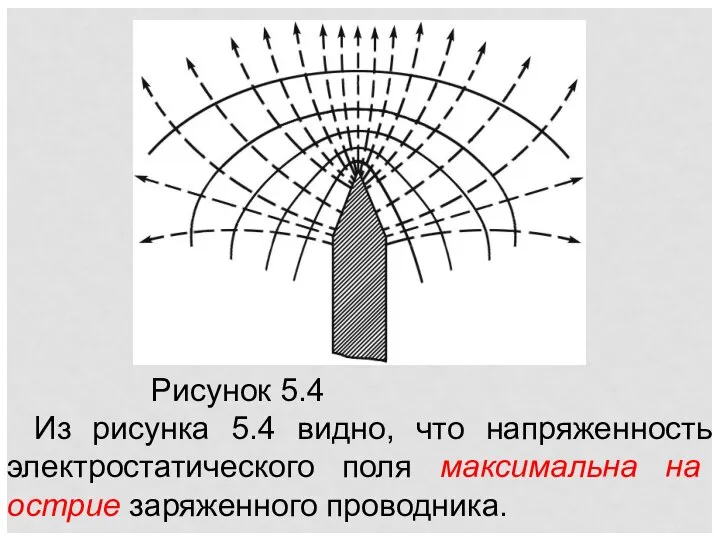 Рисунок 5.4 Из рисунка 5.4 видно, что напряженность электростатического поля максимальна на острие заряженного проводника.