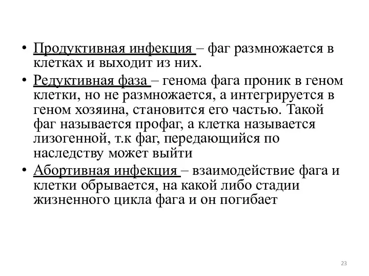 Продуктивная инфекция – фаг размножается в клетках и выходит из них.