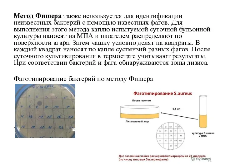 Метод Фишера также используется для идентификации неизвестных бактерий с помощью известных