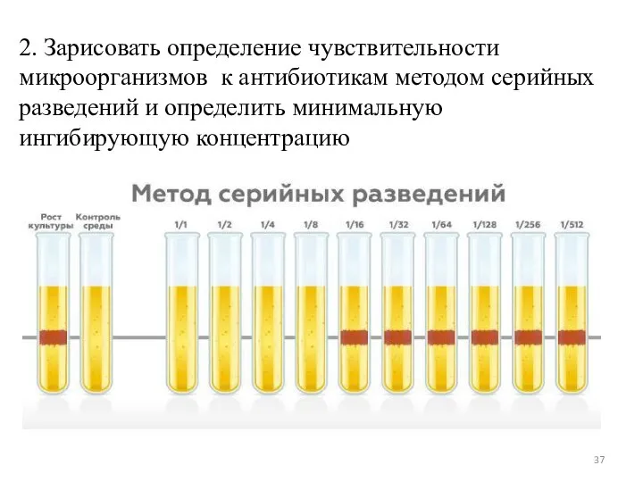 2. Зарисовать определение чувствительности микроорганизмов к антибиотикам методом серийных разведений и определить минимальную ингибирующую концентрацию