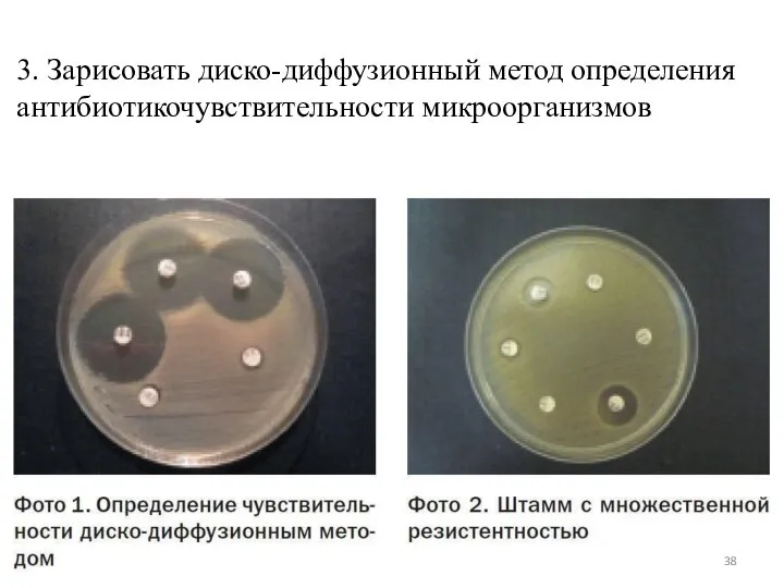 3. Зарисовать диско-диффузионный метод определения антибиотикочувствительности микроорганизмов