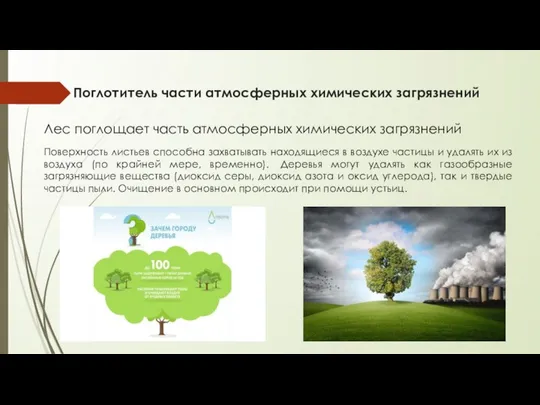 Поглотитель части атмосферных химических загрязнений Лес поглощает часть атмосферных химических загрязнений