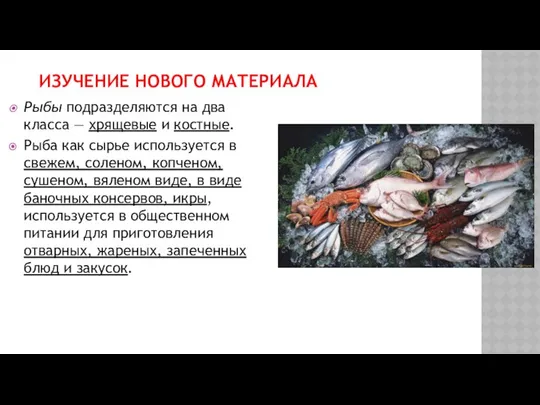 ИЗУЧЕНИЕ НОВОГО МАТЕРИАЛА Рыбы подразделяются на два класса — хряще­вые и