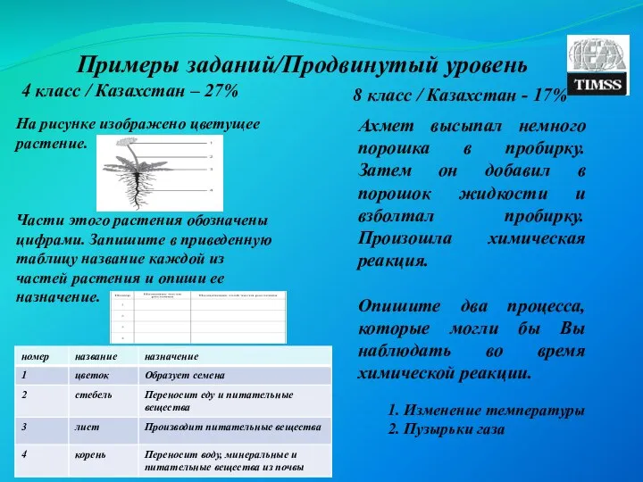 Примеры заданий/Продвинутый уровень 4 класс / Казахстан – 27% 8 класс