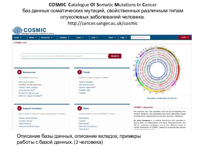 COSMIC Catalogue Of Somatic Mutations In Cancer баз данных соматических мутаций,