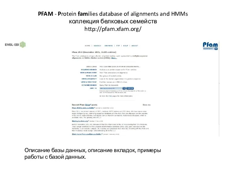 PFAM - Protein families database of alignments and HMMs коллекция белковых