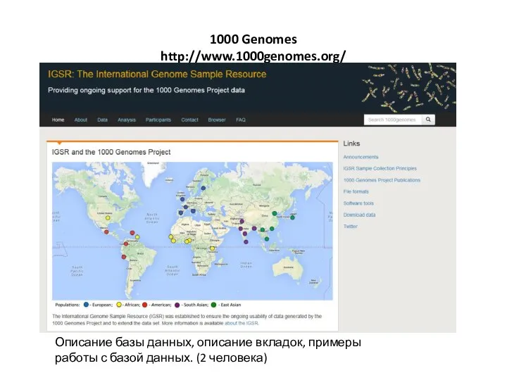 1000 Genomes http://www.1000genomes.org/ Описание базы данных, описание вкладок, примеры работы с базой данных. (2 человека)