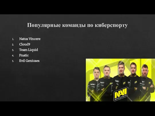 Популярные команды по киберспорту Natus Vincere Cloud9 Team Liquid Fnatic Evil Geniuses